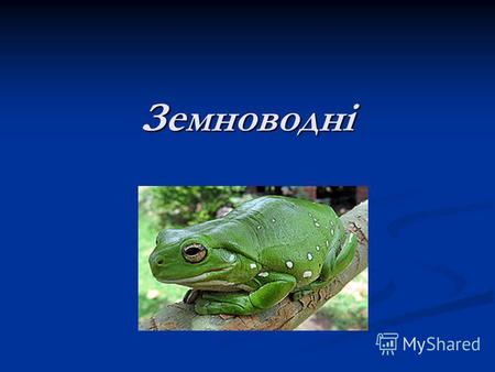 Земноводні Земноводні або амфібії (Amphibia) найменший за кількістю видів (3-4 тисячі) клас наземних хребетних (Tetrapoda). В Україні мешкає 20 видів.Це.