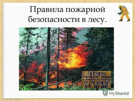 FokinaLida.75@mail.ru Правила пожарной безопасности в лесу.