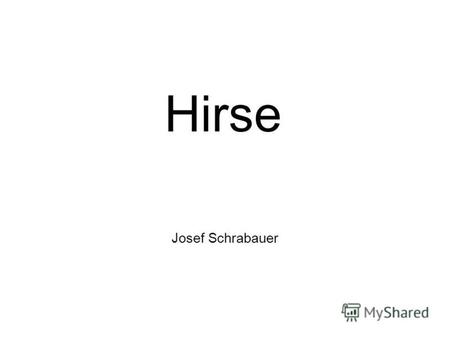 Josef Schrabauer Hirse. stammt aus Afrika ist die älteste Kulturpflanze C 4 -Pflanze, noch wärmeliebender und trockenheitsverträglicher als Mais Bestockung.