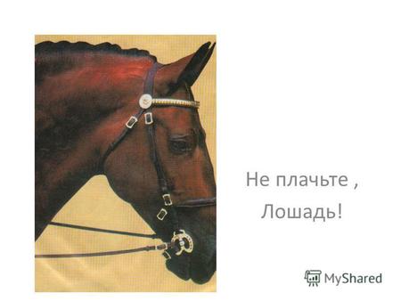 Не плачьте, Лошадь!. Иллюстрация Мавриной Т. К сказке «По щучьему желанью…»
