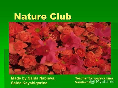 Nature Club Nature Club Made by Saida Nabieva, Saida Kayshigorina Teacher Skripaleva Irina Vasilevna.