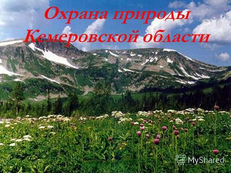 Охрана природы Кемеровской области. Охрана природы Природа – это наше жилище, сокровищница богатств, поставщик сырья и энергии на Земле. Но ее богатства.