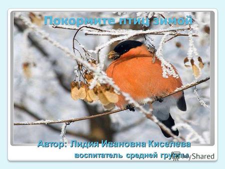 Автор: Лидия Ивановна Киселева воспитатель средней группы Покормите птиц зимой.