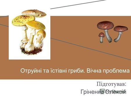 Отруйні та їстівні гриби. Вічна проблема Підготував : Гріненко Олексій.