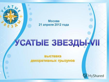 Москва 21 апреля 2012 года выставка декоративных грызунов.