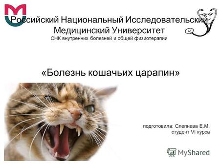Российский Национальный Исследовательский Медицинский Университет СНК внутренних болезней и общей физиотерапии «Болезнь кошачьих царапин» подготовила: