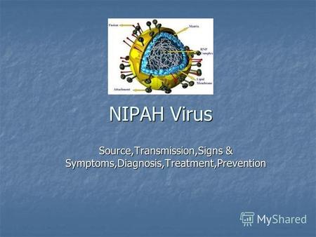 NIPAH Virus Source,Transmission,Signs & Symptoms,Diagnosis,Treatment,Prevention.