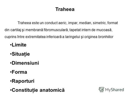 Traheea Limite Situaţie Dimensiuni Forma Raporturi Constituţie anatomică Traheea este un conduct aeric, impar, median, simetric, format din cartilaj şi.