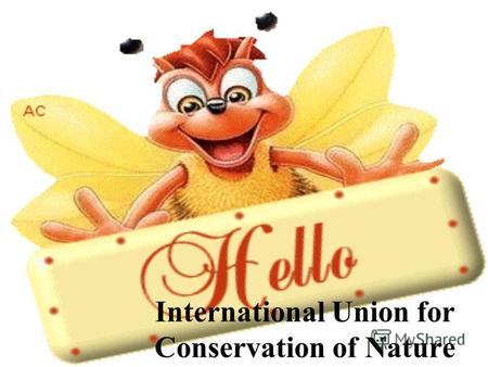 International Union for Conservation of Nature. Мета: збереження природних ресурсів. Заснована: в 1948 році як перша в світі глобальна екологічна організація.