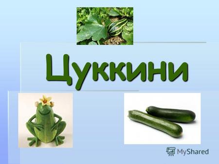 Цуккини Кабачок однолетнее травянистое растение разновидность тыквы обыкновенной. Плоды имеют продолговатую форму зелёного, жёлтого или белого цвета. Цуккини.