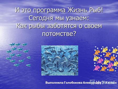 И это программа Жизнь Рыб! Сегодня мы узнаем: Как рыбы заботятся о своем потомстве? Выполнила Голобокова Александра 7-А класс.