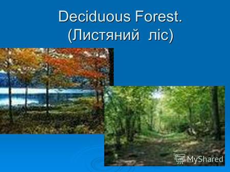 Deciduous Forest. (Листяний ліс) Deciduous Forest. (Листяний ліс)
