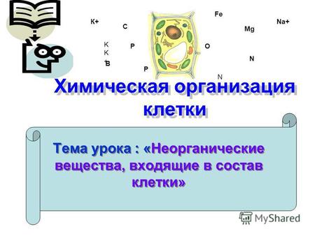 Химическая организация клетки Тема урока : «Неорганические вещества, входящие в состав клетки» Fe O C P P N N B Mg KK+KK+ К+Na+