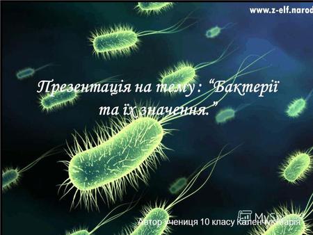 Презентація на тему : Бактерії та їх значення. Автор учениця 10 класу Каленчук Марія.