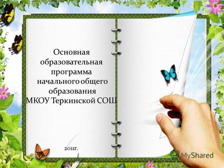 Основная образовательная программа начального общего образования МКОУ Теркинской СОШ 2011 г.