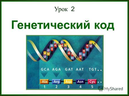 Урок 2 Генетический код Генетический код. «Нить ДНК – это письмо, записанное с помощью алфавита химических соединений, называемыми нуклеотидами. Одна.