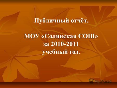 Публичный отчёт. МОУ «Солянская СОШ» за 2010-2011 учебный год.