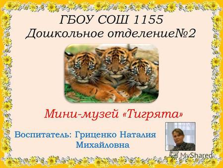 ГБОУ СОШ 1155 Дошкольное отделение 2 Мини-музей «Тигрята»