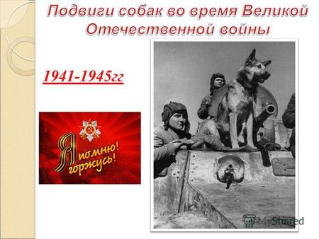 1941-1945 гг. На историческом Параде Победы 24 июля 1945 года были представлены все фронты Великой Отечественной войны, все роды войск. Но далеко не все.