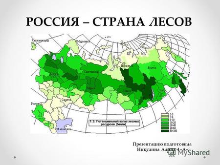 РОССИЯ – СТРАНА ЛЕСОВ Презентацию подготовила Никулина Алина 4 «А»