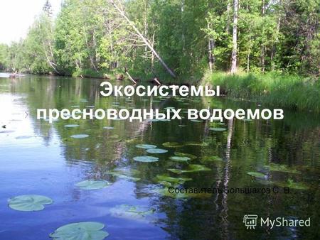 Экосистемы пресноводных водоемов Составитель Большаков С. В.