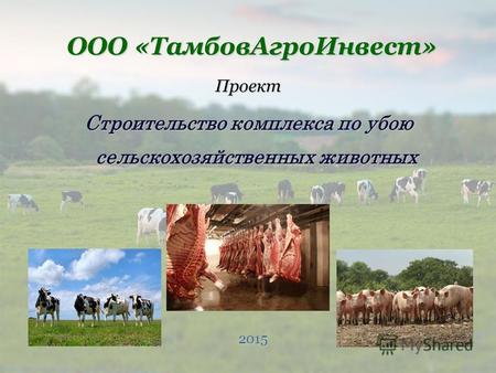 Проект Строительство комплекса по убою сельскохозяйственных животных ООО «Тамбовагроинвест» 2015.