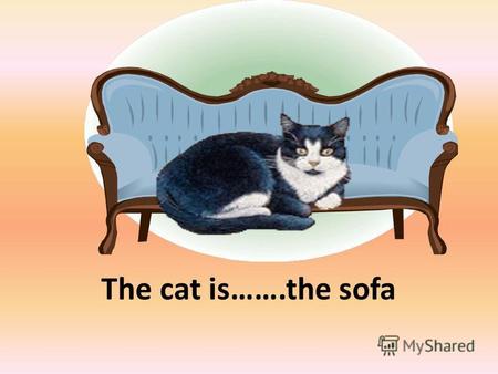 The cat is…….the sofa on. The cat is………....…………. the chair on the left of.