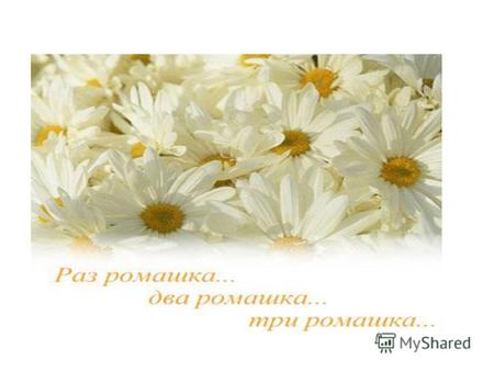 Ромашка одно из немногих растений, известных любому говорящему на русском языке. Издавна известна ромашка как косметическое средство. Экстракт из нее.