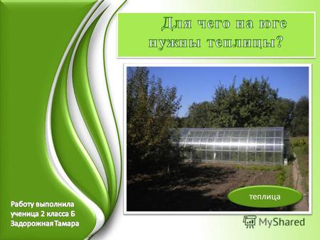 Теплица Выяснить, почему используют теплицу для выращивания огурцов в условиях теплого климата на Юге России. Цель работы: