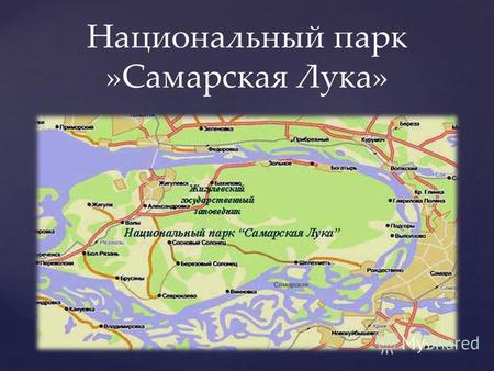 Национальный парк »Самарская Лука» { К ем и когда образован Национальный парк «Самарская Лука» образован в 1984 г. на территории Самарской области, в.