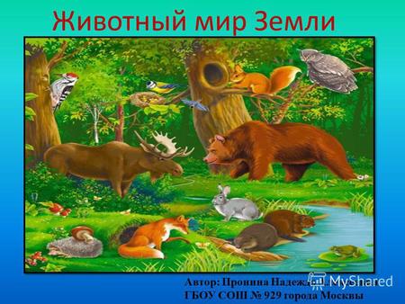Животный мир Земли Автор: Пронина Надежда Алексеевна ГБОУ СОШ 929 города Москвы.