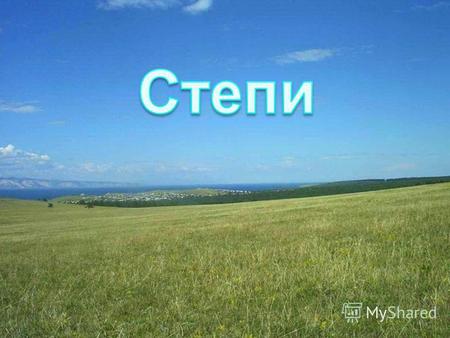 Степи-самая южная природная зона России. Степь располагается на юге Сибири, на территории республики Башкортостан, Хакассии Географическое положение.