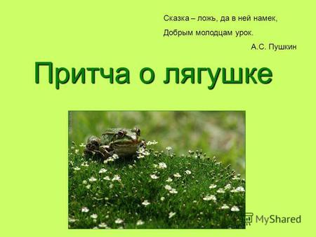 Притча о лягушке Сказка – ложь, да в ней намек, Добрым молодцам урок. А.С. Пушкин.
