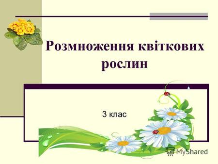 Розмноження квіткових рослин 3 клас. Квітка є органом розмноження квіткових рослин.