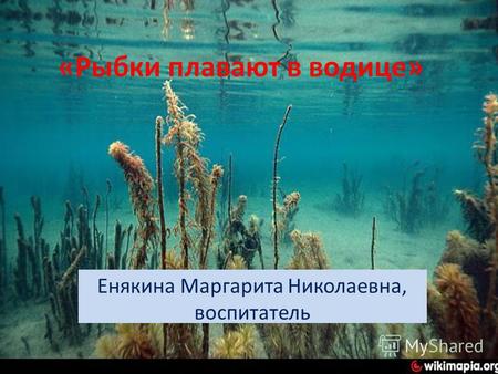 «Рыбки плавают в водице» Енякина Маргарита Николаевна, воспитатель.