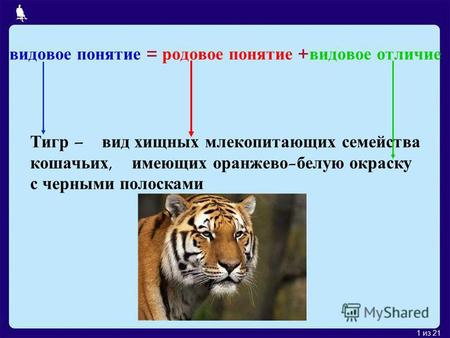 1 из 21 видовое понятие = родовое понятие + видовое отличие Тигр – вид хищных млекопитающих семейства кошачьих, имеющих оранжево-белую окраску с черными.