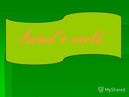 Animals world. 1. What animals can you see at the pictures? a dolphin a hedgehog a rabbit a horse a wolf.