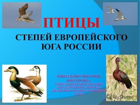 ПТИЦЫ СТЕПЕЙ ЕВРОПЕЙСКОГО ЮГА РОССИИ. Птицы – удивительные создания, они приспособились к жизни в самых различных ландшафтах. На юге России в течении.