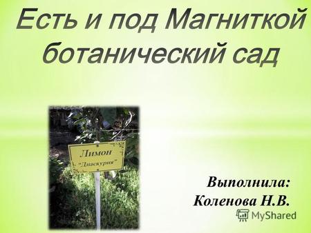 Выполнила: Коленова Н.В.. В Челябинской области находится один из самых крупных «лимонариев» на территории России. Это огромный оазис дикой тропической.