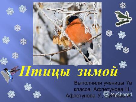 Птицы зимой Выполнили ученицы 7 а класса: Афлетунова Н., Афлетунова У., Суляева А.