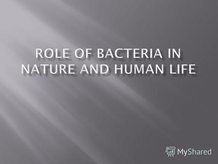 Разные виды бактерий находят благоприятную для себя среду обитания в : -Организме человека - Продуктах питания - Почве - Воде - Растениях.