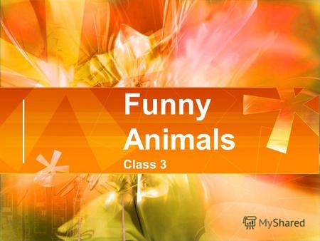 Funny Animals Class 3. Nose- [nəus]- нос Ear- [iə]- ухо Head- [hed]- голова Eye- [ai]- глаз Leg- [leg]- нога Body- [bodi]- тело Tail- [teil]- хвост Small-