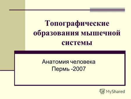 Топографические образования мышечной системы Анатомия человека Пермь -2007.