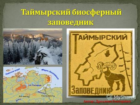 Автор: Дроздова Екатерина. создан 23 февраля 1979 года. Один из крупнейших заповедников России, расположенный на севере Красноярского края, на полуострове.