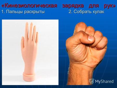«Кинезиологическая зарядка для рук» 1. Пальцы раскрыты 2. Собрать кулак.