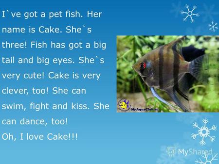 I`ve got a pet fish. Her name is Cake. She`s three! Fish has got a big tail and big eyes. She`s very cute! Cake is very clever, too! She can swim, fight.