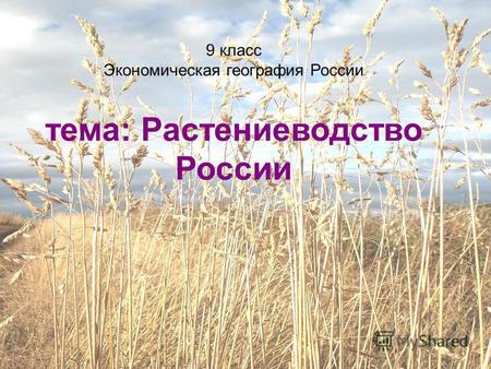 9 класс Экономическая география России тема: Растениеводство России.