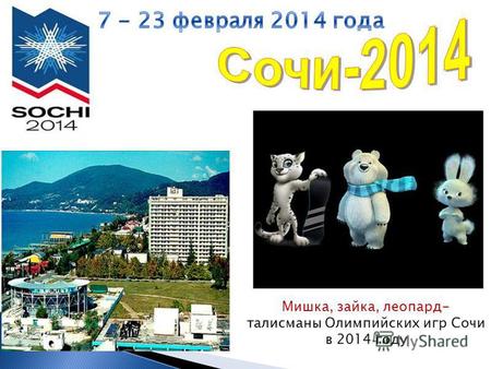 Мишка, зайка, леопард- талисманы Олимпийских игр Сочи в 2014 году.