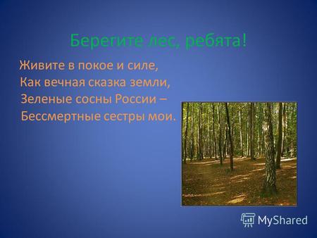 Берегите лес, ребята! Живите в покое и силе, Как вечная сказка земли, Зеленые сосны России – Бессмертные сестры мои.