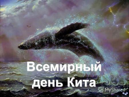 Всемирный день Кита. 19 февраля отмечается Всемирный день кита, который также считается днем защиты всех других морских млекопитающих. Всемирный день.